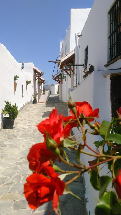 Casas El Molino Villa Vejer de la Frontera Eksteriør bilde