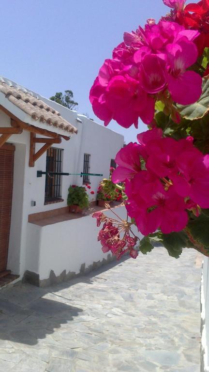 Casas El Molino Villa Vejer de la Frontera Rom bilde