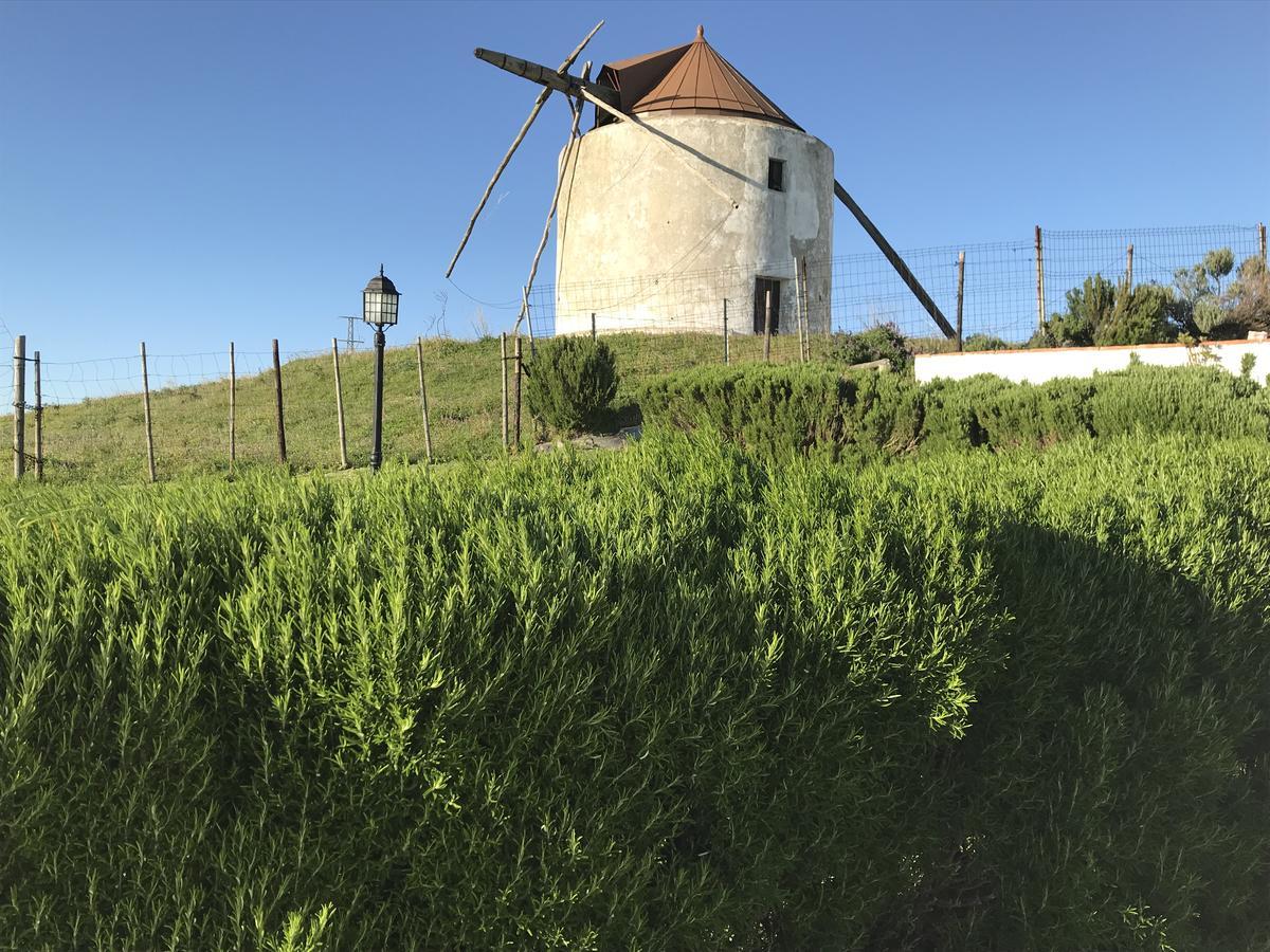 Casas El Molino Villa Vejer de la Frontera Eksteriør bilde